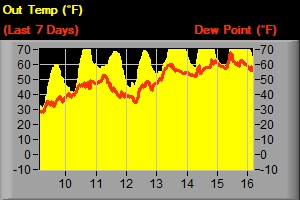 Temp & Dew Point - Last 7 Days